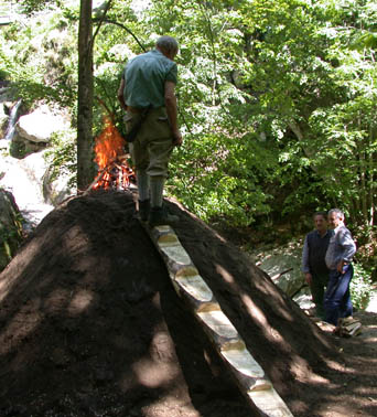  Image name: 12 Carbonai.jpg 
 width: 342 pixel 
 height: 378 pixel 
 Size: 53160 bytes 
 Click to enlarge 